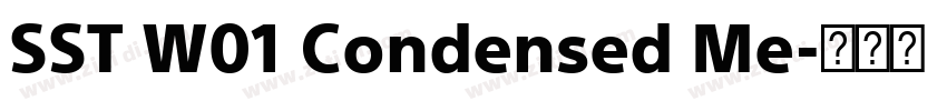 SST W01 Condensed Me字体转换